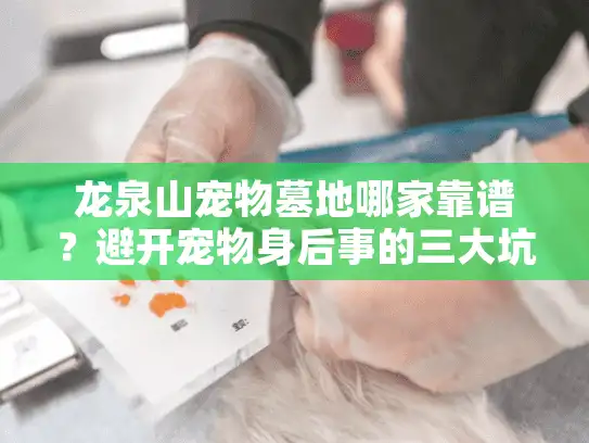龙泉山宠物墓地哪家靠谱？避开宠物身后事的三大坑