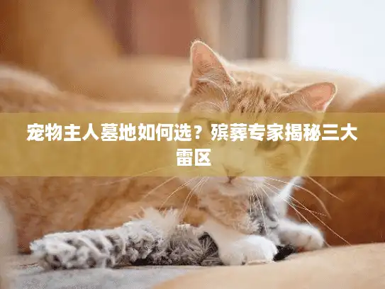 宠物主人墓地如何选?殡葬专家揭秘三大雷区 宠物主人墓地如何选?殡葬专家揭秘三大雷区