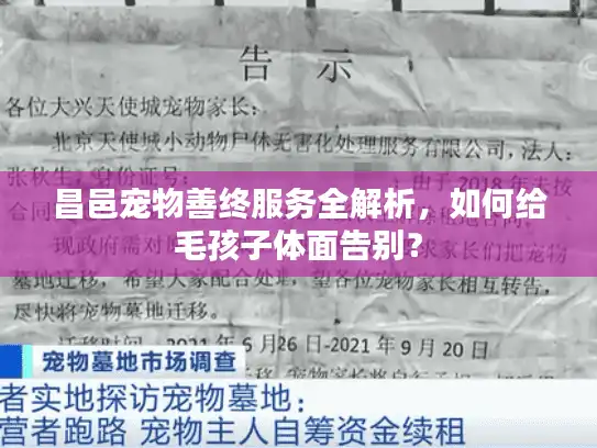 昌邑宠物善终服务全解析，如何给毛孩子体面告别？