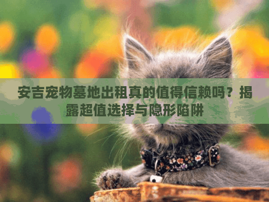 安吉宠物墓地出租真的值得信赖吗？揭露超值选择与隐形陷阱