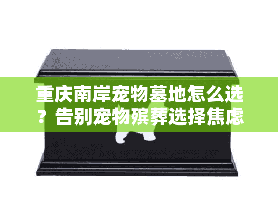 重庆南岸宠物墓地怎么选？告别宠物殡葬选择焦虑