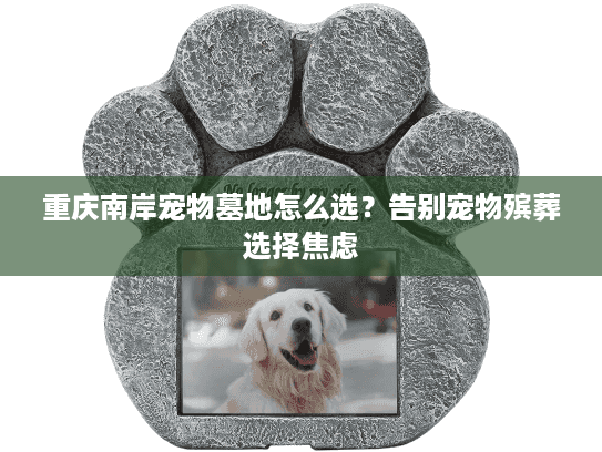 重庆南岸宠物墓地怎么选？告别宠物殡葬选择焦虑