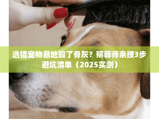 选错宠物墓地毁了骨灰?殡葬师亲授3步避坑清单(2025实测) 选错宠物墓地毁了骨灰?殡葬师亲授3步避坑清单(2025实测)