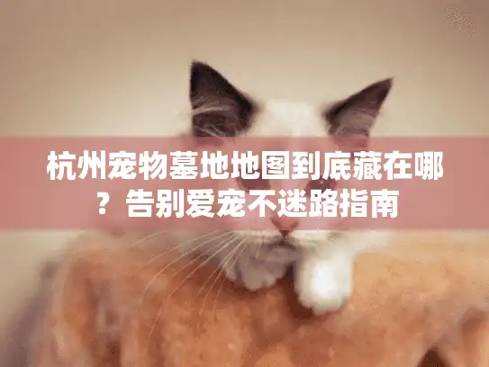杭州宠物墓地地图到底藏在哪？告别爱宠不迷路指南