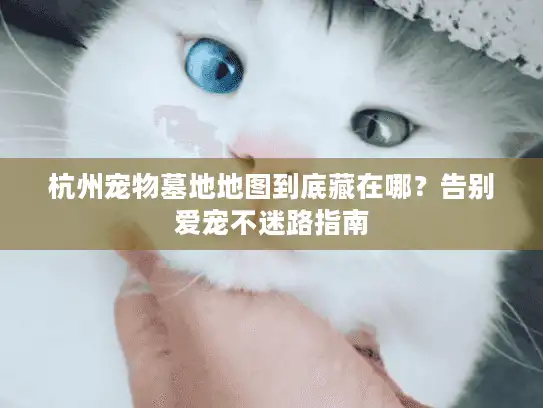 杭州宠物墓地地图到底藏在哪？告别爱宠不迷路指南