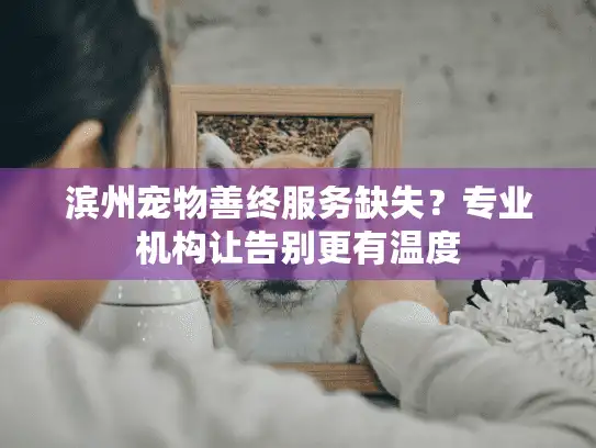 滨州宠物善终服务缺失？专业机构让告别更有温度