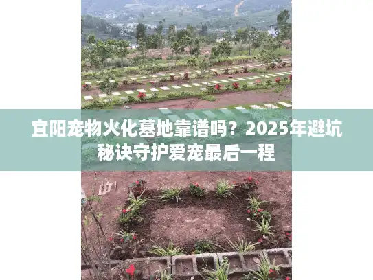 宜阳宠物火化墓地靠谱吗？2025年避坑秘诀守护爱宠最后一程