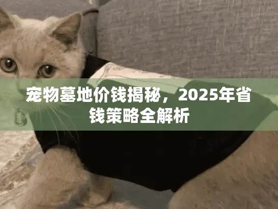 宠物墓地价钱揭秘,2025年省钱策略全解析 宠物墓地价钱揭秘,2025年省钱策略全解析