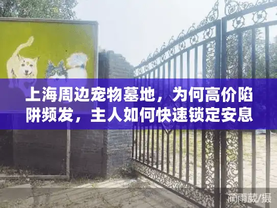 上海周边宠物墓地，为何高价陷阱频发，主人如何快速锁定安息宝地？