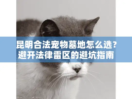 昆明合法宠物墓地怎么选？避开法律雷区的避坑指南