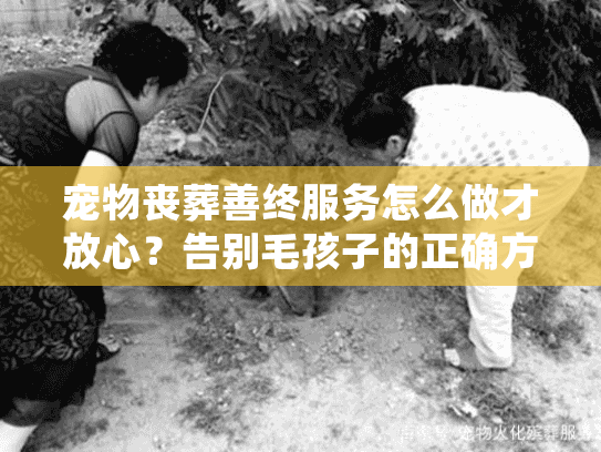 宠物丧葬善终服务怎么做才放心?告别毛孩子的正确方式 宠物丧葬善终服务怎么做才放心?告别毛孩子的正确方式