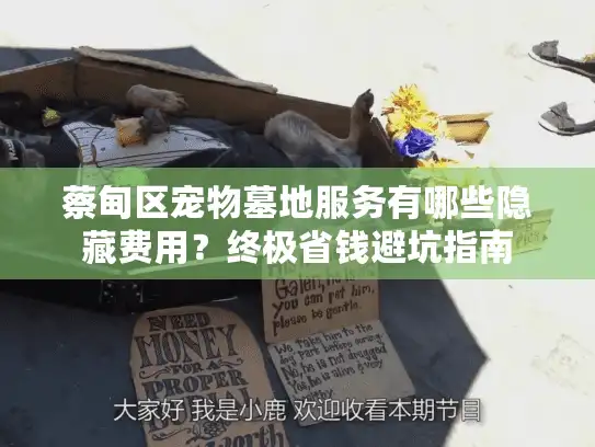 蔡甸区宠物墓地服务有哪些隐藏费用？终极省钱避坑指南