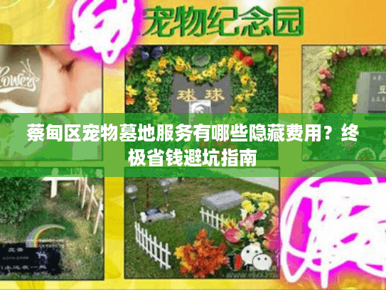 蔡甸区宠物墓地服务有哪些隐藏费用？终极省钱避坑指南