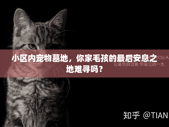 小区内宠物墓地,你家毛孩的最后安息之地难寻吗? 小区内宠物墓地,你家毛孩的最后安息之地难寻吗?