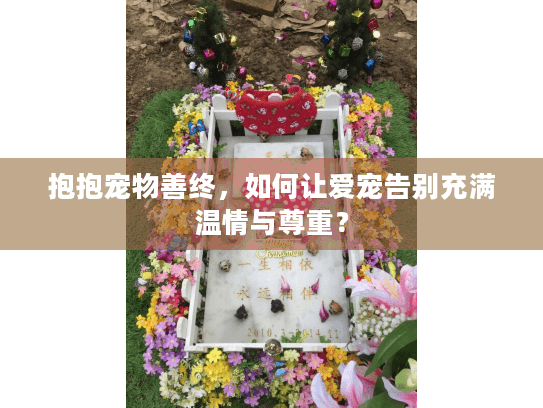 抱抱宠物善终，如何让爱宠告别充满温情与尊重？