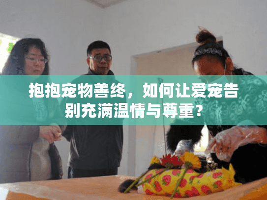 抱抱宠物善终，如何让爱宠告别充满温情与尊重？