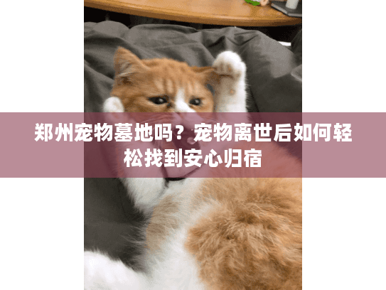 郑州宠物墓地吗？宠物离世后如何轻松找到安心归宿