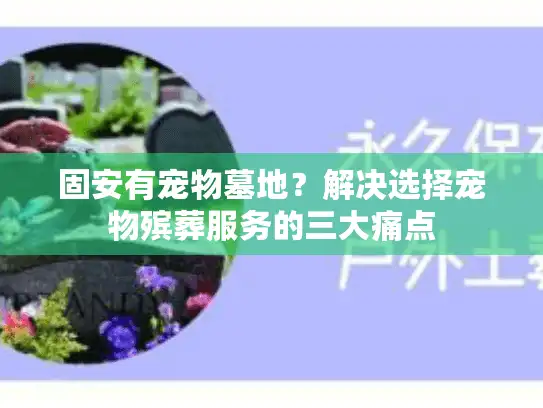 固安有宠物墓地？解决选择宠物殡葬服务的三大痛点