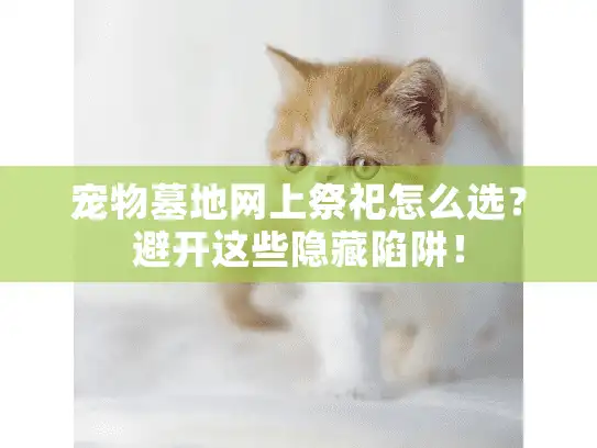 宠物墓地网上祭祀怎么选?避开这些隐藏陷阱! 宠物墓地网上祭祀怎么选?避开这些隐藏陷阱!