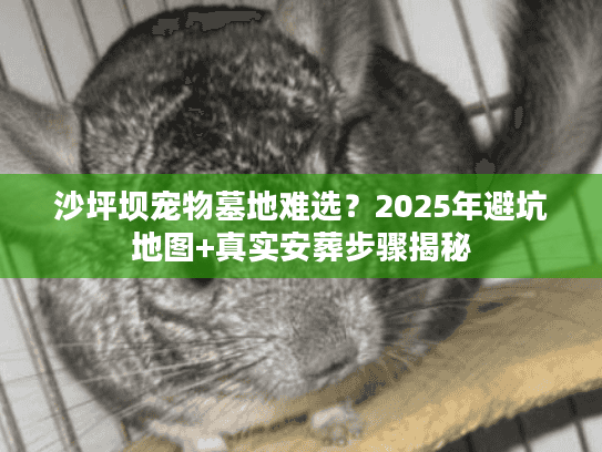 沙坪坝宠物墓地难选?2025年避坑地图+真实安葬步骤揭秘 沙坪坝宠物墓地难选?2025年避坑地图+真实安葬步骤揭秘