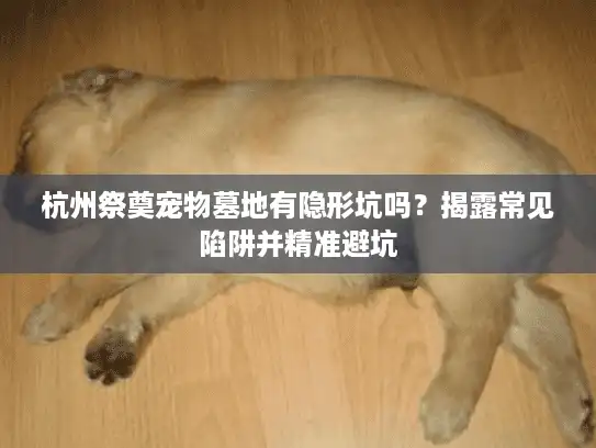 杭州祭奠宠物墓地有隐形坑吗？揭露常见陷阱并精准避坑