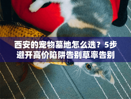 西安的宠物墓地怎么选？5步避开高价陷阱告别草率告别