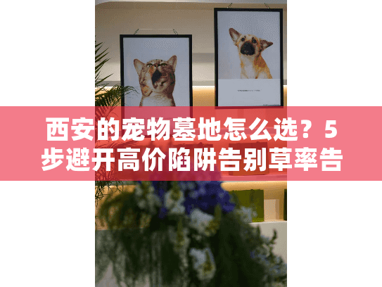 西安的宠物墓地怎么选？5步避开高价陷阱告别草率告别