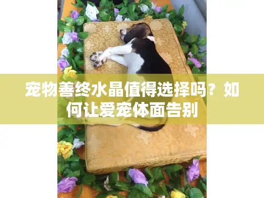 宠物善终水晶值得选择吗？如何让爱宠体面告别