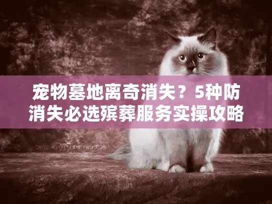 宠物墓地离奇消失？5种防消失必选殡葬服务实操攻略