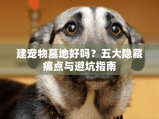 建宠物墓地好吗？五大隐藏痛点与避坑指南