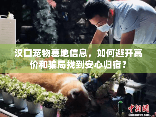 汉口宠物墓地信息,如何避开高价和骗局找到安心归宿? 汉口宠物墓地信息,如何避开高价和骗局找到安心归宿?