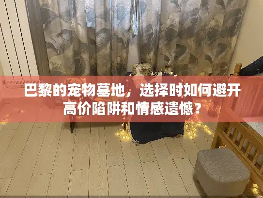 巴黎的宠物墓地，选择时如何避开高价陷阱和情感遗憾？