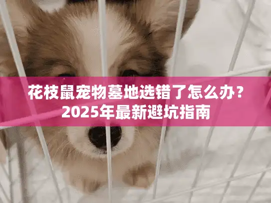 花枝鼠宠物墓地选错了怎么办？2025年最新避坑指南
