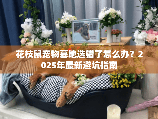 花枝鼠宠物墓地选错了怎么办？2025年最新避坑指南