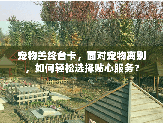 宠物善终台卡,面对宠物离别,如何轻松选择贴心服务? 宠物善终台卡,面对宠物离别,如何轻松选择贴心服务?