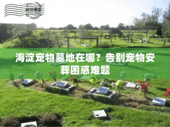海淀宠物墓地在哪？告别宠物安葬困惑难题