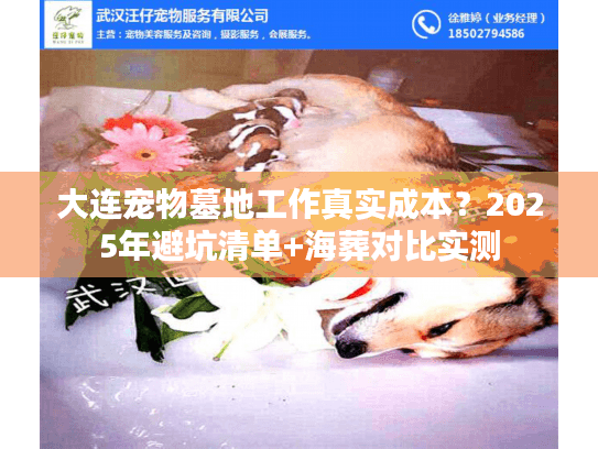 大连宠物墓地工作真实成本?2025年避坑清单+海葬对比实测 大连宠物墓地工作真实成本?2025年避坑清单+海葬对比实测