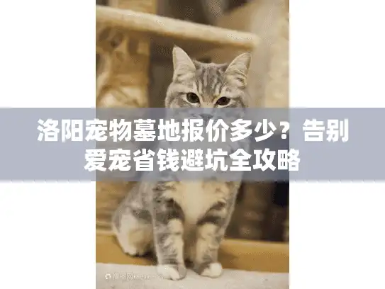 洛阳宠物墓地报价多少？告别爱宠省钱避坑全攻略