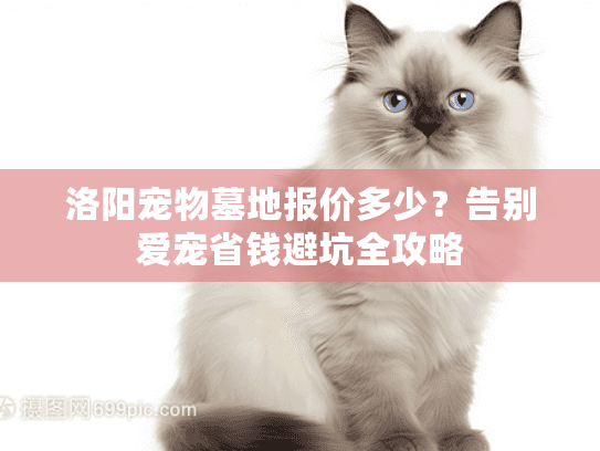 洛阳宠物墓地报价多少？告别爱宠省钱避坑全攻略