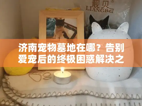 济南宠物墓地在哪？告别爱宠后的终极困惑解决之道