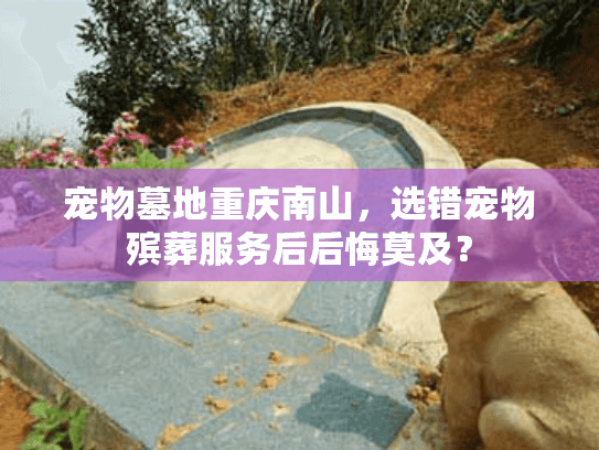 宠物墓地重庆南山，选错宠物殡葬服务后后悔莫及？