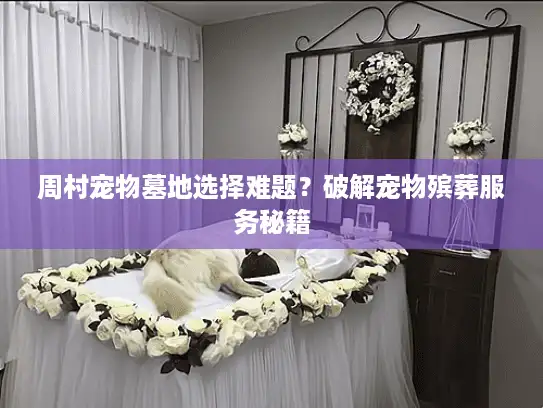 周村宠物墓地选择难题?破解宠物殡葬服务秘籍 周村宠物墓地选择难题?破解宠物殡葬服务秘籍