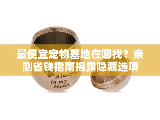 最便宜宠物墓地在哪找？亲测省钱指南揭露隐藏选项