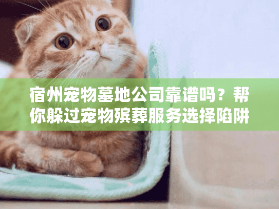 宿州宠物墓地公司靠谱吗?帮你躲过宠物殡葬服务选择陷阱 宿州宠物墓地公司靠谱吗?帮你躲过宠物殡葬服务选择陷阱