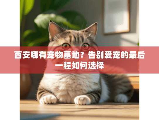 西安哪有宠物墓地？告别爱宠的最后一程如何选择