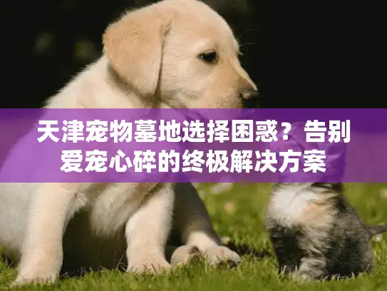 天津宠物墓地选择困惑?告别爱宠心碎的终极解决方案 天津宠物墓地选择困惑?告别爱宠心碎的终极解决方案