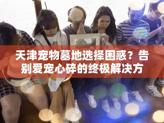 天津宠物墓地选择困惑?告别爱宠心碎的终极解决方案 天津宠物墓地选择困惑?告别爱宠心碎的终极解决方案