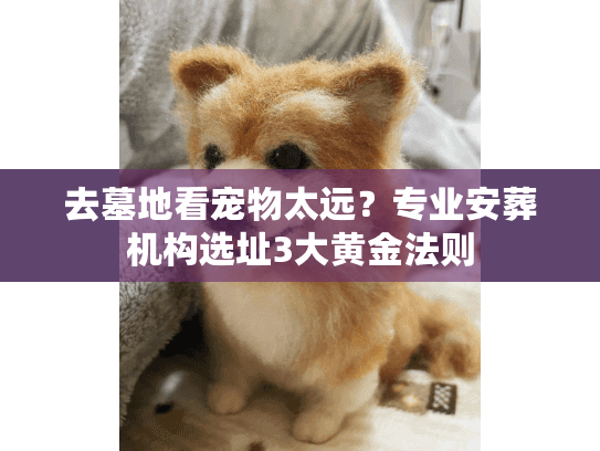 去墓地看宠物太远?专业安葬机构选址3大黄金法则 去墓地看宠物太远?专业安葬机构选址3大黄金法则