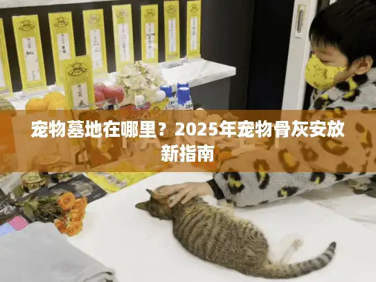 宠物墓地在哪里？2025年宠物骨灰安放新指南