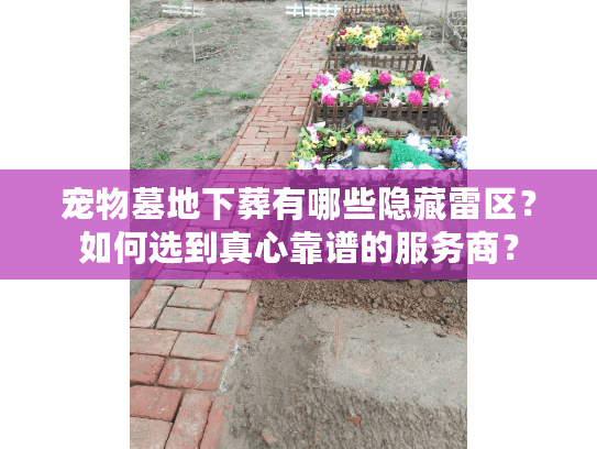 宠物墓地下葬有哪些隐藏雷区?如何选到真心靠谱的服务商? 宠物墓地下葬有哪些隐藏雷区?如何选到真心靠谱的服务商?